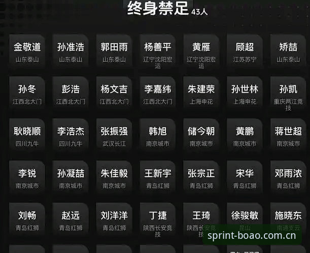中国足协第三批禁足名单深度解读——体育诚信的警示与变革